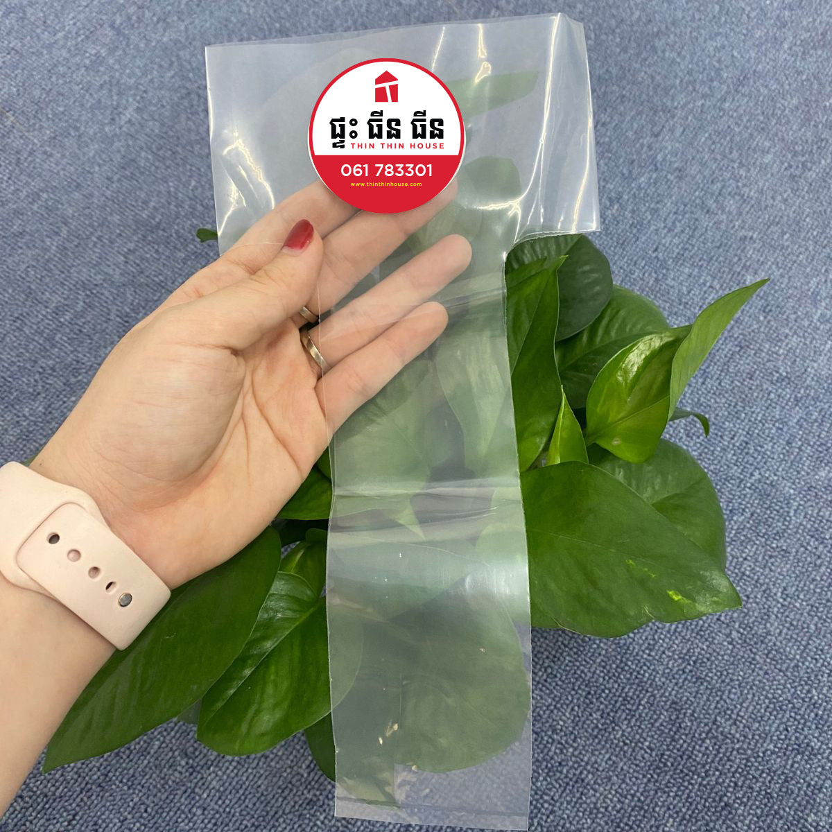 ថង់ច្រកកែវកាហ្វេ