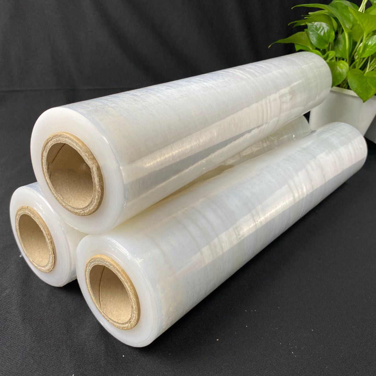 ស្កុតរុំថ្លា